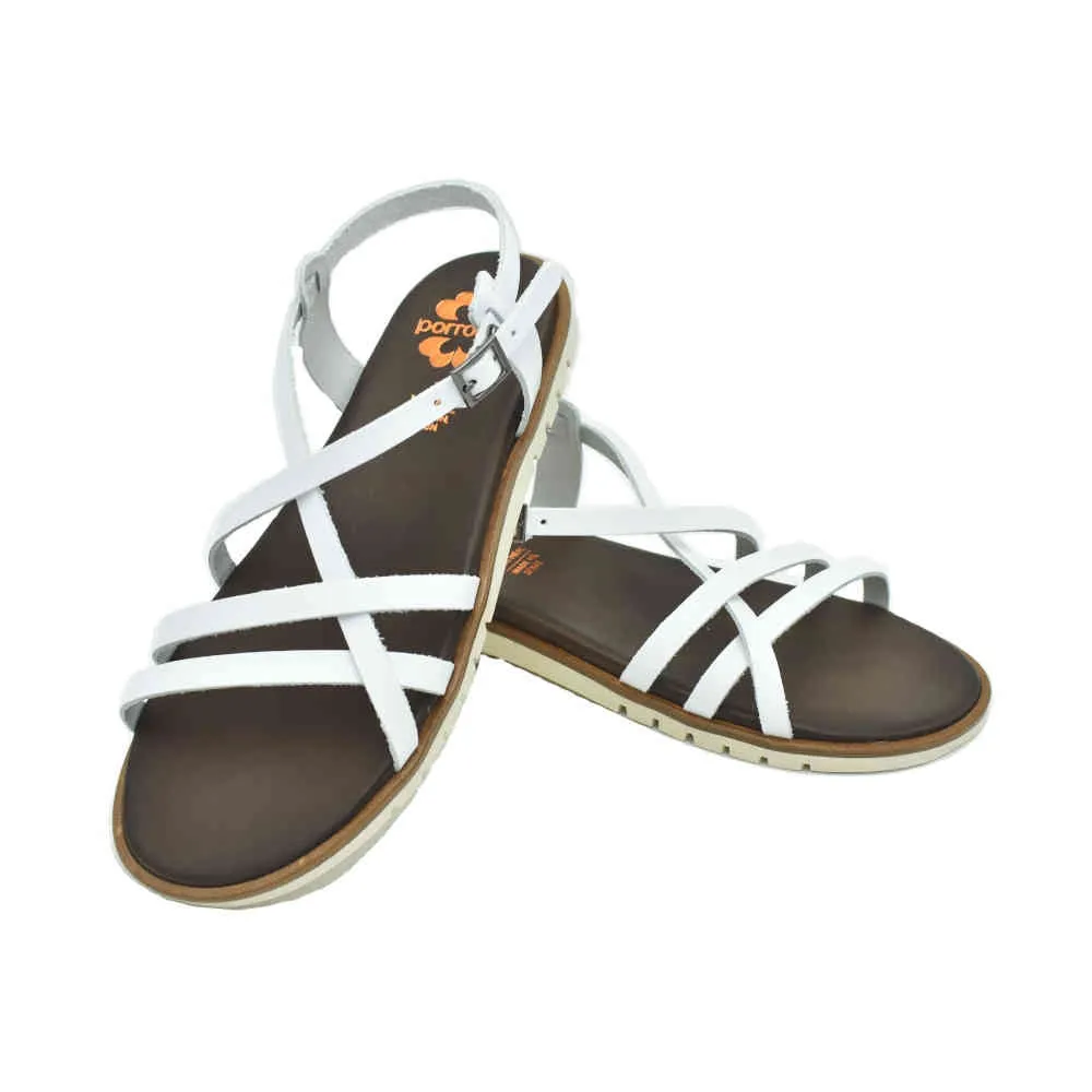 Sandalias Porronet 2751